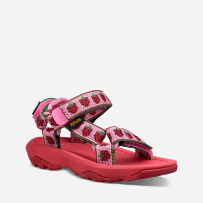 Teva Hurricane XLT 2 - Kids' Teva Hiking Sandals - Pink | India (KRHM27614)